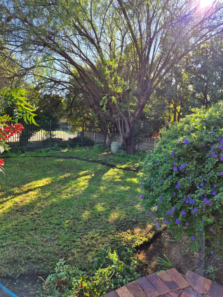 To Let 3 Bedroom Property for Rent in Pellissier Free State